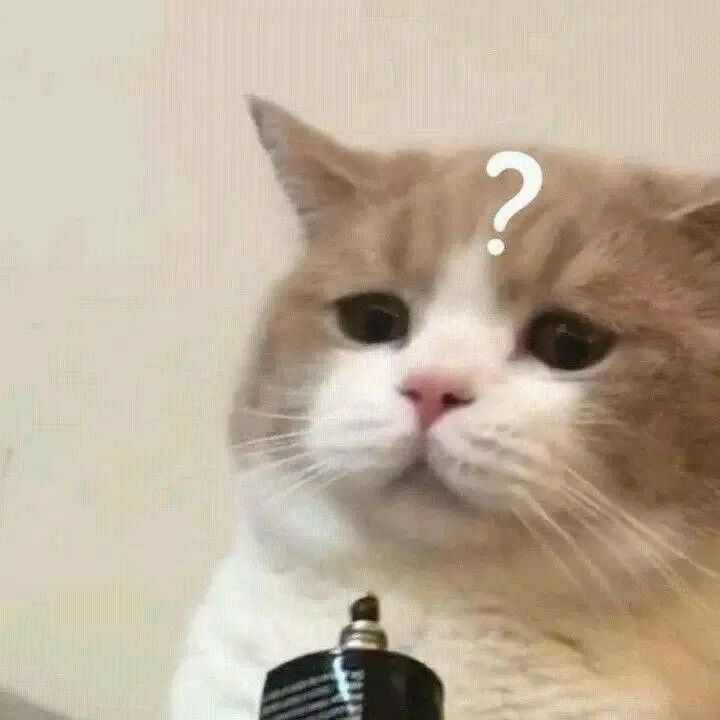 Ɇ(wn)ϼ